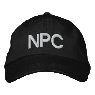 NPC EMBROIDERED HAT