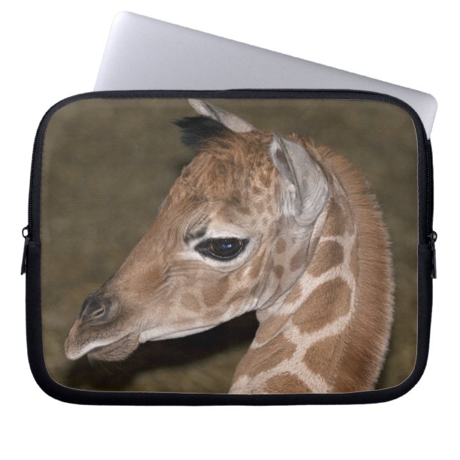Nsia Laptop Sleeve (Front)