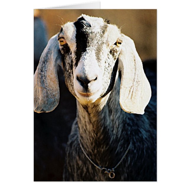 Nubian Beauty (Front)