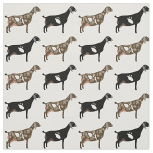 Nubian Dairy Goats on White Fabric