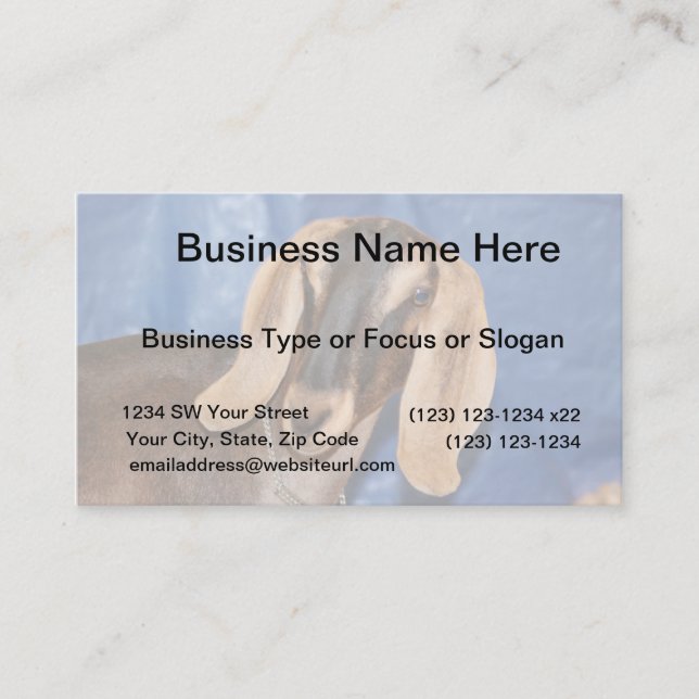 Nubian doe head against blue business card (Front)