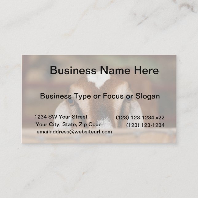 Nubian doe peeking over wooden rail business card (Front)