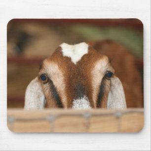 Nubian doe peeking over wooden rail mouse mat