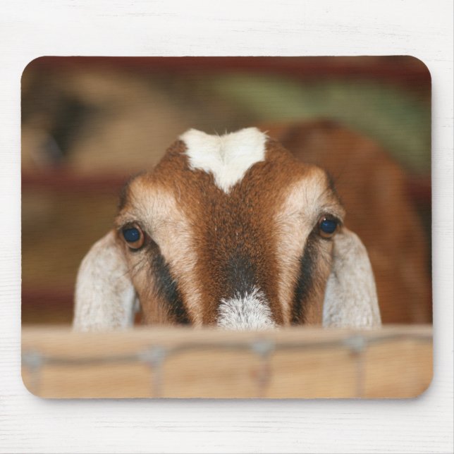 Nubian doe peeking over wooden rail mouse mat (Front)