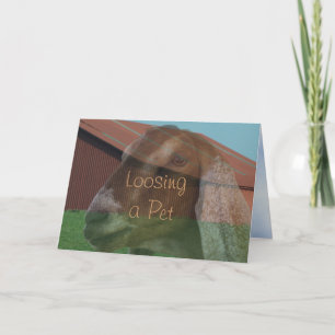 Nubian Doe Vision Sympathy Card or any occasion