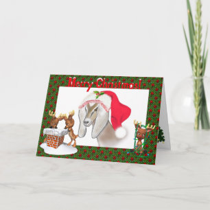 Nubian Goat Art Christmas Card