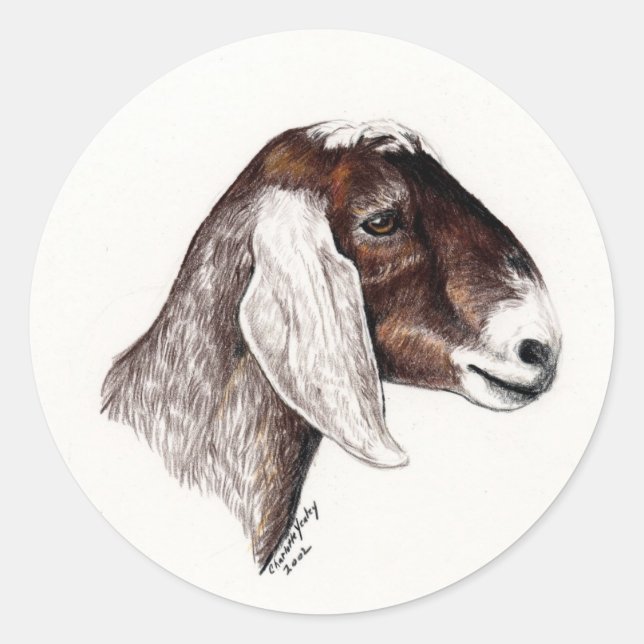 Nubian Goat Art Sticker (Front)