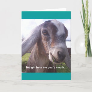 Nubian Goat Card