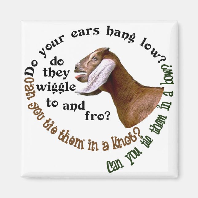 NUBIAN GOAT - DO YOUR EARS HANG LOW? MAGNET (Front)