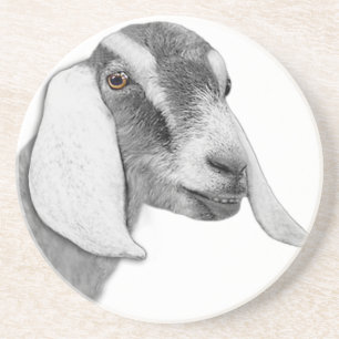 Nubian Goat Sandstone Coaster