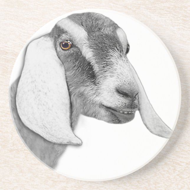 Nubian Goat Sandstone Coaster (Front)