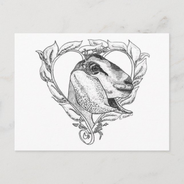 Nubian Head in Heart Postcard (Front)