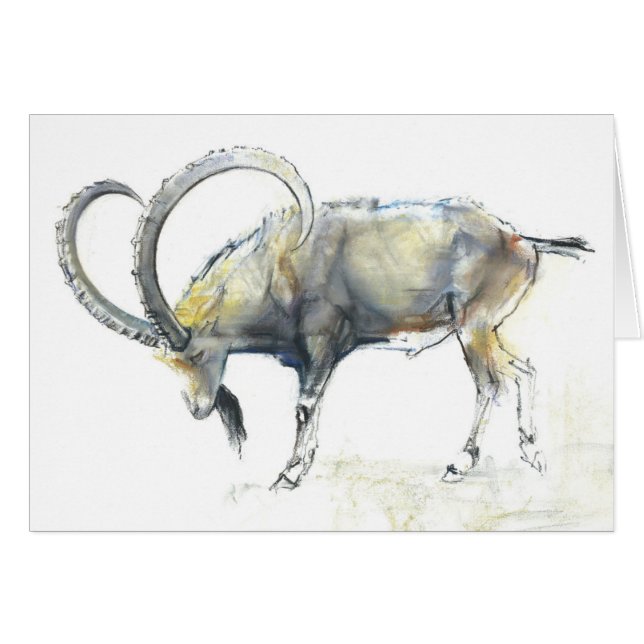 Nubian Ibex 2008 (Front Horizontal)