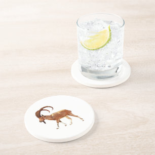 Nubian Ibex - Ein Gedi Coaster