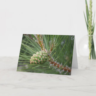Nublile Pine Cone Card Blank
