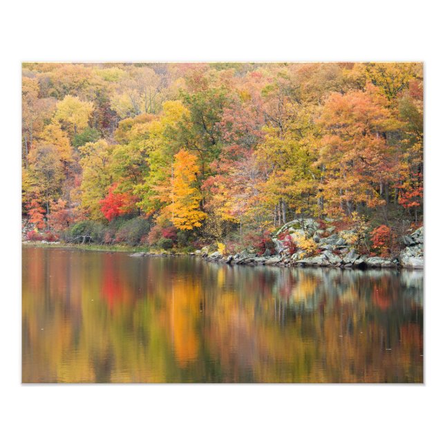 Nuclear Autumn Photo Print (Front)