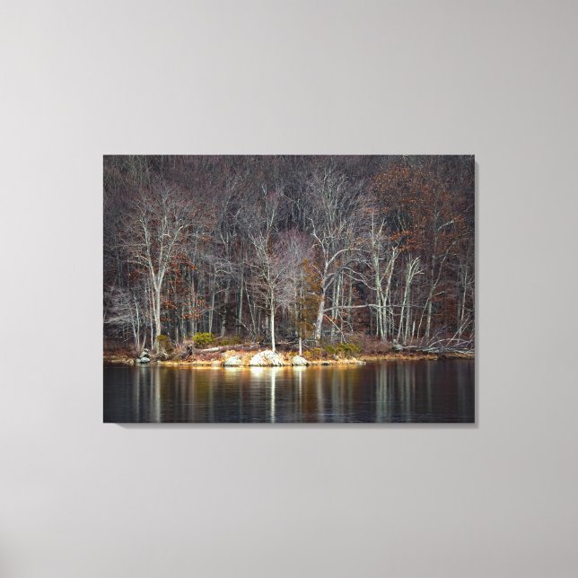 Nuclear Winter Canvas Print (Front)