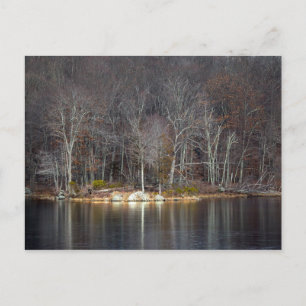 Nuclear Winter Postcard