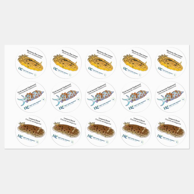 Nudi Stickers #2 (Sheet)