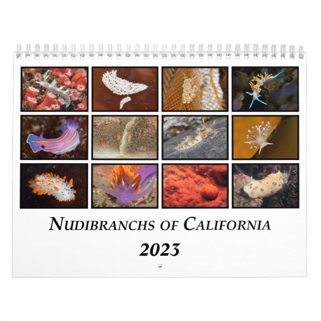 Nudibranchs of California Calendar (Cover)