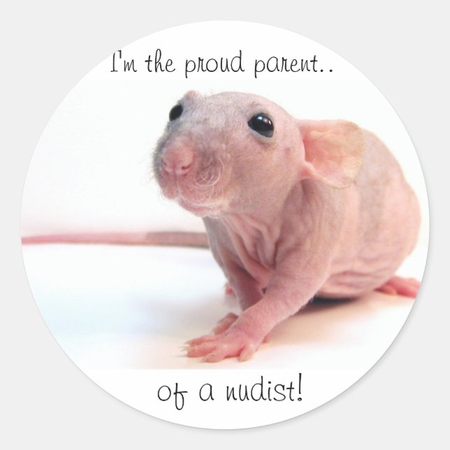 Nudist Rat Classic Round Sticker (Front)