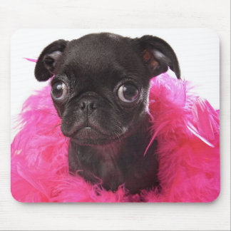 Nugget APARN SpokesPug Mousepad