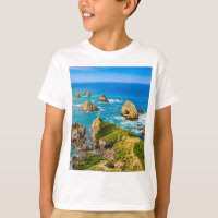 Nugget Point islets, New Zealand