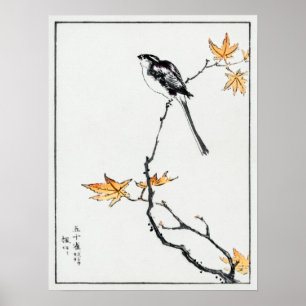 Numata Kashu Japanese Long-tailed Tit and Maple Poster
