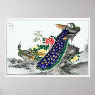 Numata Kashu Peacock and Peony Poster