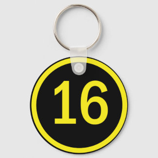 number 16 in a circle key ring