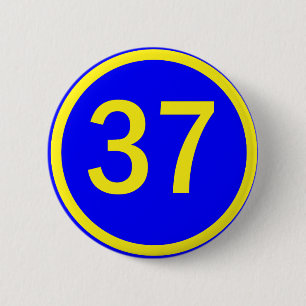 number 37 in a circle 6 cm round badge