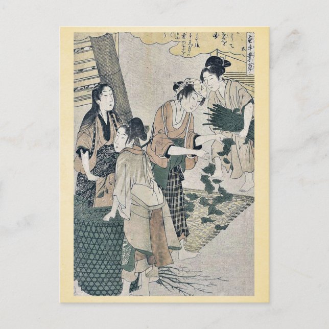 Number five by Kitagawa, Utamaro Ukiyoe Postcard (Front)