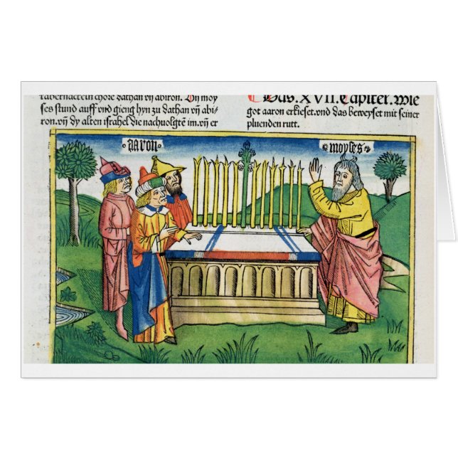 Numbers 17 1-11 Aaron's staff blooms on the altar, (Front Horizontal)