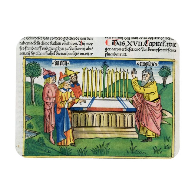 Numbers 17 1-11 Aaron's staff blooms on the altar, Magnet (Horizontal)