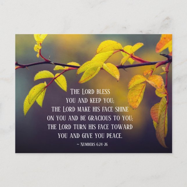 Numbers 6:24-26 The Lord Bless You and Keep You Postcard (Front)