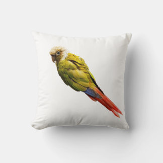 Numchoke is not a bird  cushion