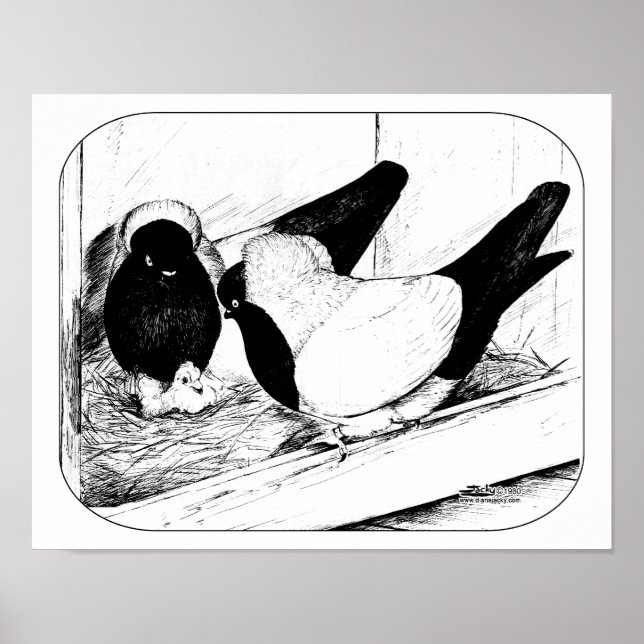 Nuns 1980 poster (Front)