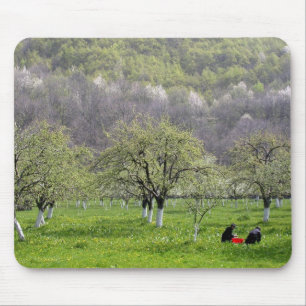 Nuns At Work Mouse Mat