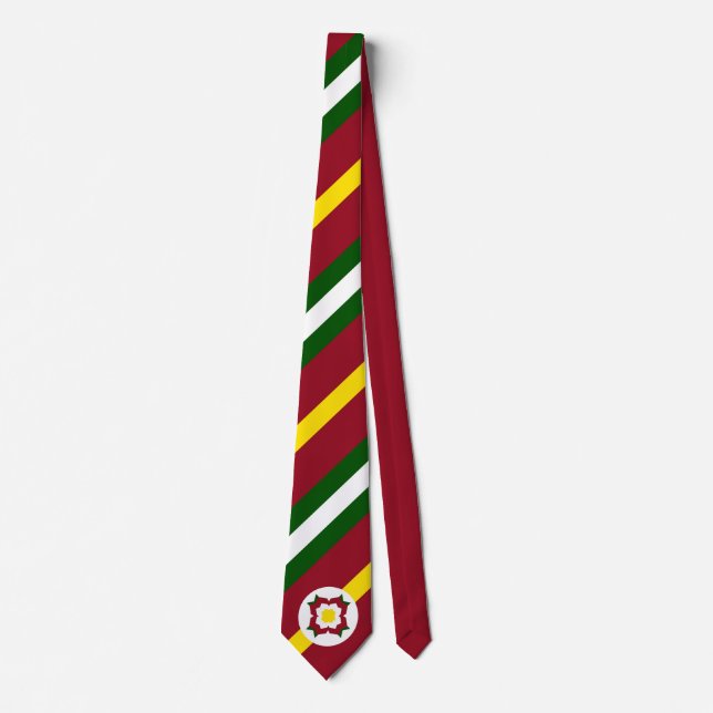 NUP Multi-Coloured Tie (Front)