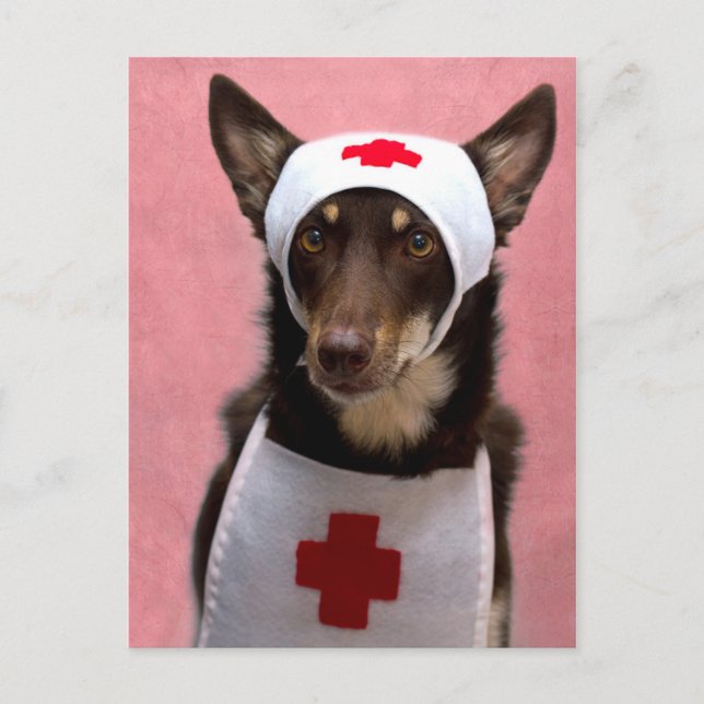 Nurse Ally Postcard (Front)