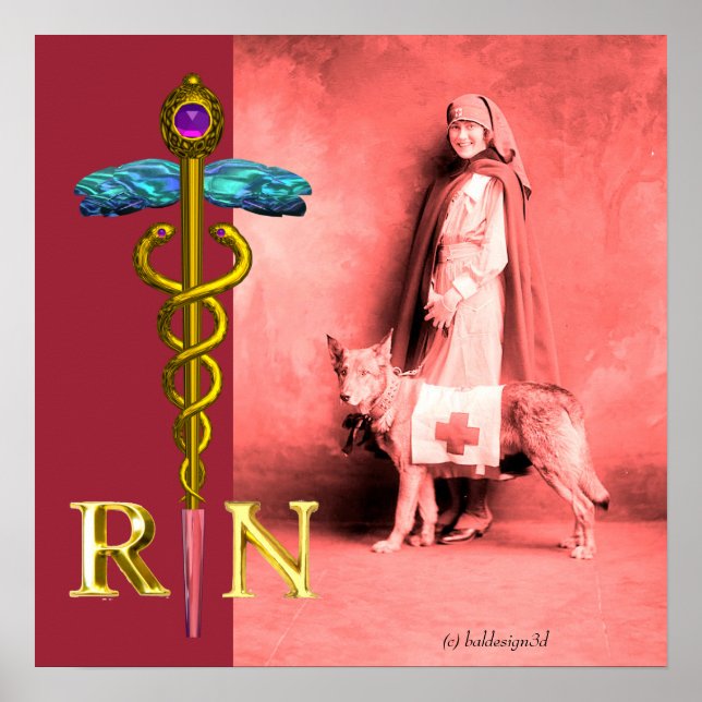 NURSE AND RESCUE DOG /Gold Caduceus RN Emblem Poster (Front)