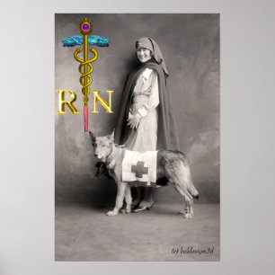 NURSE AND RESCUE DOG /Gold Caduceus RN Emblem Poster