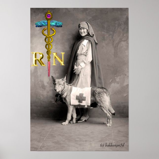 NURSE AND RESCUE DOG /Gold Caduceus RN Emblem Poster (Front)