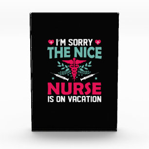 Nurse Gift I Am Sorry The Nice Nurse Photo Block