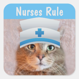 Nurse Rupie Cat Square Sticker