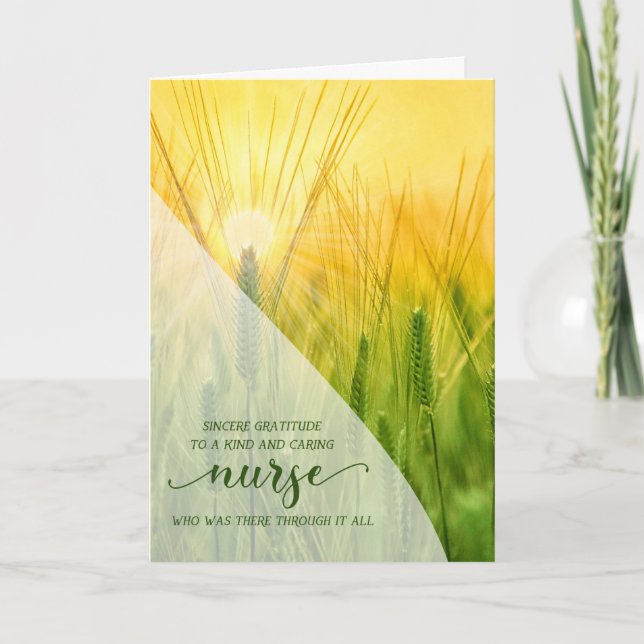 Nurse Summer Grasses Sunlit Nature Thank You Card (Front)