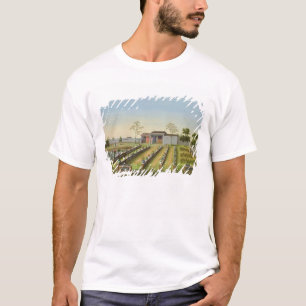 Nursery Garden, c.1820-40 (w/c on paper) T-Shirt