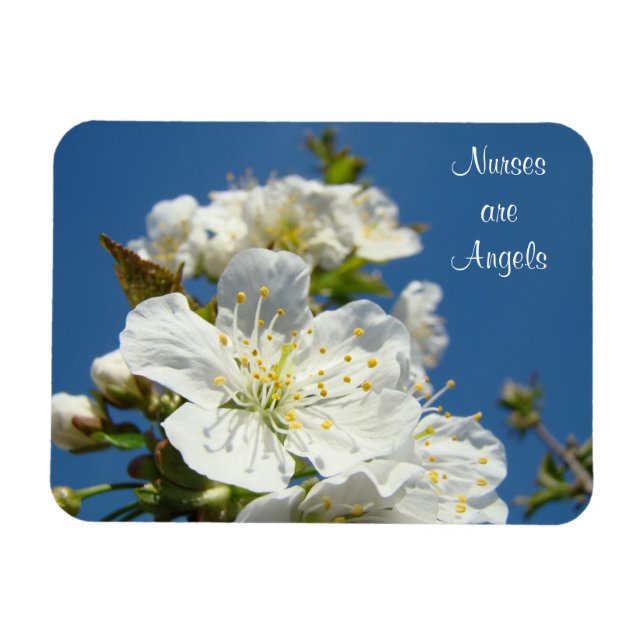 Nurses are Angels magnets Blue Sky Cherry Blossoms (Horizontal)