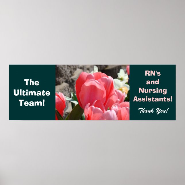 Nursing Assistants RN Ultimate Team Thanks posters (Front)