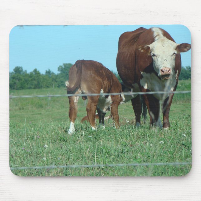 Nursing Calf Mouse Mat (Front)